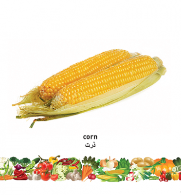Vegetables (English–Farsi) Milet